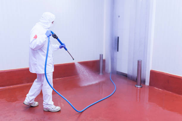 Best Warehouse Cleaning  in La Presa, CA